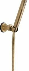Budget ❤️ Delta Faucet Compel® Single Function Hand Shower in Brilliance® Champagne Bronze 🎉