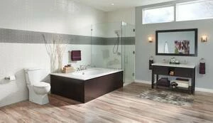 Top 10 😀 Delta Faucet Ashlyn® Wall Mount Toilet Tissue Holder in Stainless 🎉 - Image 2