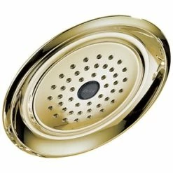Cheapest ⌛ Delta Faucet Single Function Full Showerhead in Brilliance Polished Brass ⭐