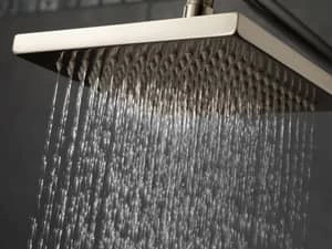 Budget ⭐ Delta Faucet Universal Showering Single Function Full Body Showerhead in Brilliance® Stainless 🌟 - Image 4